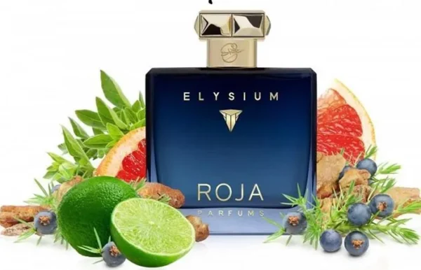 Nước Hoa Nam Roja Parfums Elysium Pour Homme Parfum Cologne 100ml - Hình ảnh 4