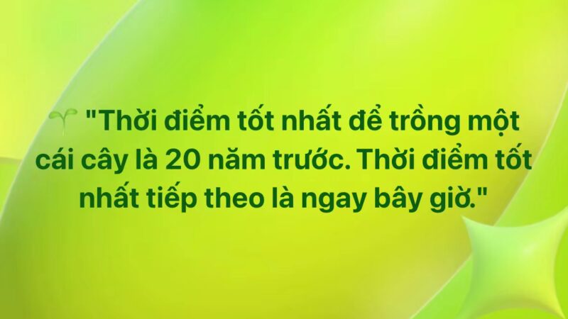 Thời điểm tốt nhất để trồng một cái cây là 20 năm trước. Thời điểm tốt nhất tiếp theo là ngay bây giờ