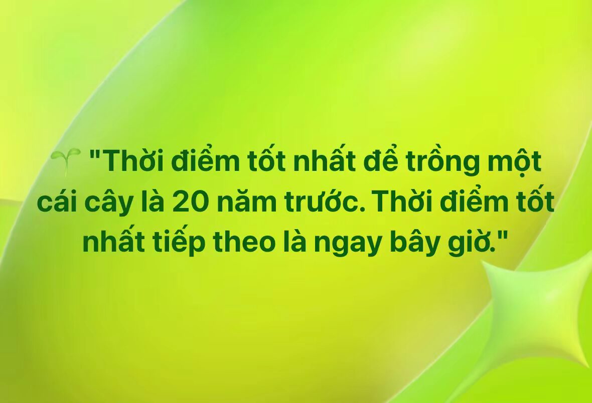 Thời điểm tốt nhất để trồng một cái cây là 20 năm trước. Thời điểm tốt nhất tiếp theo là ngay bây giờ